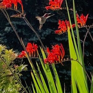 Meet your Posher, Josiah